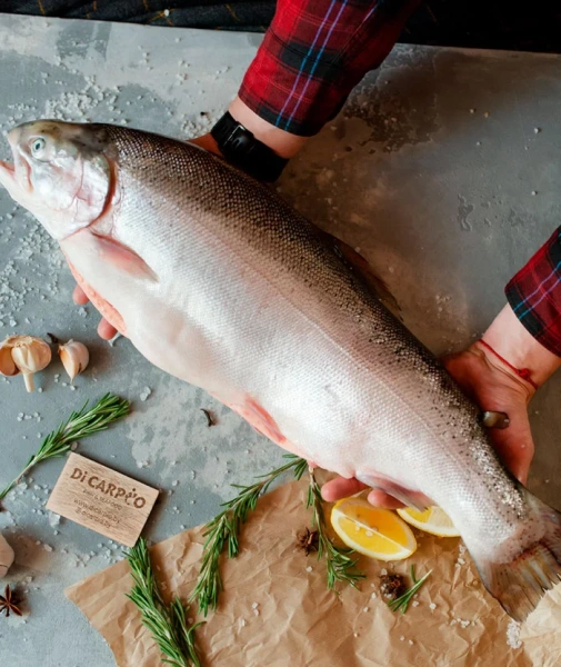 Форель охлаждённая 5/6