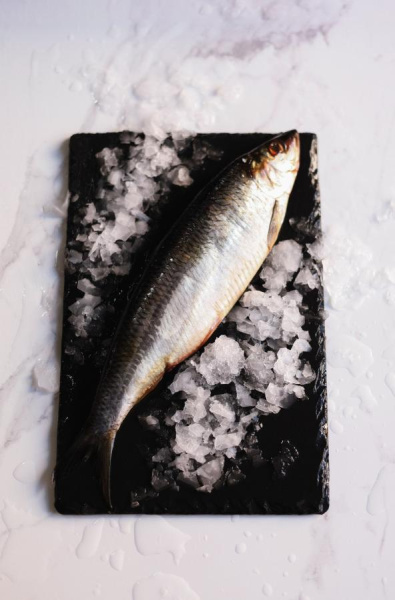 Сельдь атлантическая слабосолёная